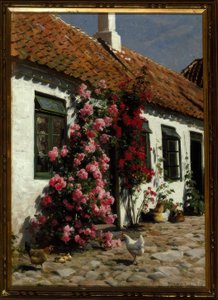 Escalada de rosas na fazenda de Peder Monsted