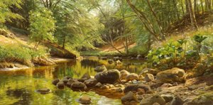 P.Mönsted, Sunny Forest Brook