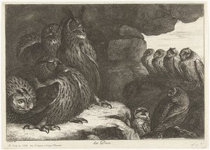 Corujas numa caverna
des Ducs (título sobre o objecto)
Aves do menagerie de Versailles (título da série) de Peeter Boel (attributed to)