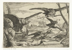 Roofvogels
Várias aves (título da série) de Peeter Boel