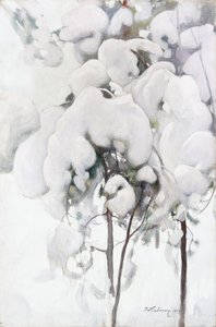 Mudas de pinheiro coberto de neve