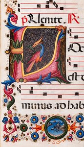 Biblioteca Piccolomini: livro coral, código. 5.E, ff. 63r com "Foliated initial", de Pellegrino di Mariano. Detalhe.