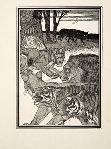 A Grateful Lioness, de A Hundred Anecdotes of Animals, pub. 1924 (gravura) de Percy J. Billingshurst