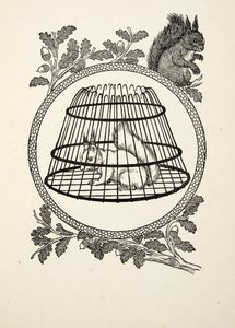 Um esquilo do refugiado, de cem anecdotes dos animais, bar. 1924 de Percy J. Billingshurst