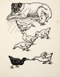 Uma mãe adotiva singular, de cem anecdotes dos animais, bar. 1924 de Percy J. Billingshurst