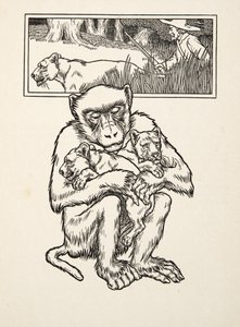 Solicitar Succour, de A Hundred Anecdotes of Animals, pub. 1924 (gravura) de Percy J. Billingshurst