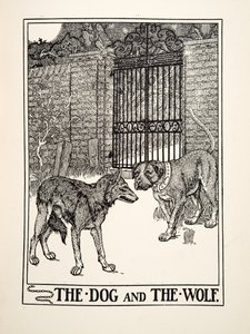 The Dog and the Wolf, from A Hundred Fables of Aesop, pub.1903 (gravura) de Percy J. Billingshurst