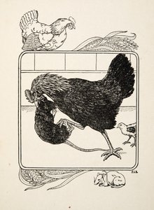 O heroísmo de uma galinha, de cem anedotas de animais, pub. 1924 de Percy J. Billingshurst