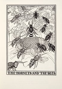 The Hornets and the Bees, de Fontaine Fables, pub. 1905 (gravura) de Percy J. Billingshurst