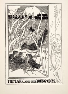 The Lark and her Young Ones, de A Hundred Fables of Aesop, pub.1903 (gravura) de Percy J. Billingshurst