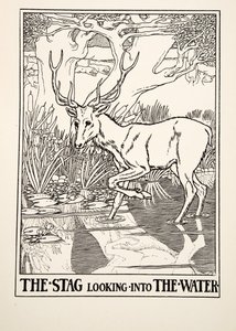The Stag looking into the Water, from A Hundred Fables of Aesop, pub.1903 (gravura) de Percy J. Billingshurst