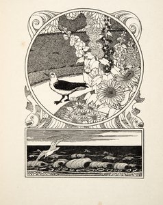 The Tame Seagull, de A Hundred Anecdotes of Animals, pub. 1924 (gravura) de Percy J. Billingshurst