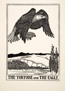 The Tortoise and the Eagle, de A Hundred Fables of Aesop, pub.1903 (gravura) de Percy J. Billingshurst