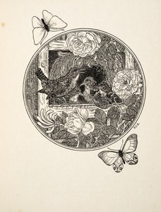 Wrens Aprendendo a Cantar, de Cem Anedotas de Animais, pub. 1924 de Percy J. Billingshurst