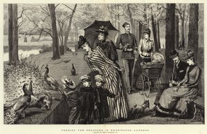 Alimentar os pavões nos Jardins de Kensington (gravura) de Percy Macquoid