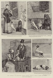 A miséria de fazer compras com mulheres do ponto de vista de um cão