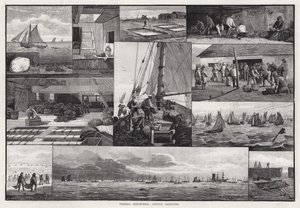 Indústrias Pesqueiras, Oyster Dredging (gravura) de Percy Robert Craft