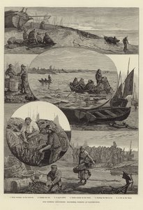 Nossas Indústrias de Pesca: Pesca de Cavala em Eastbourne de Percy Robert Craft