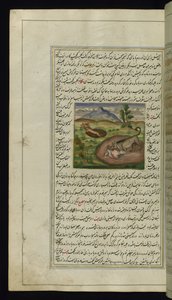 Um chacal devora uma lebre de Lights of Canopus, 1847 de Persian School