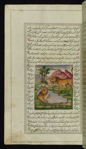 Um leão malvado, enganado por uma lebre, olha para um poço e vê seu reflexo nas Luzes de Canopus de Persian School