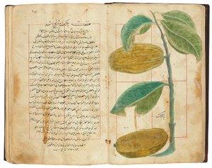 Hassan Bin Baqir Bin Jarrah: Gulzar Al-Rayahin, Qajar Irã de Persian School