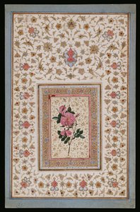 Estudo de uma rosa de Persian School