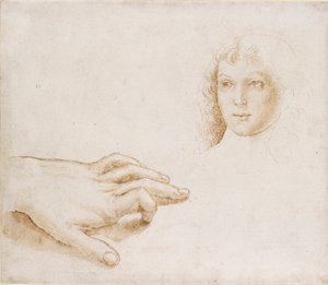 Estudos de uma cabeça e uma mão, final do século 15 e início do século 16 de Perugino