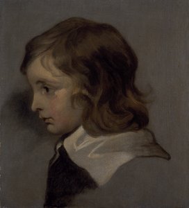 Cabeça de um jovem rapaz (óleo sobre tela) de Peter (follower of) Lely