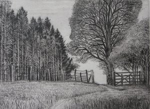 O Caminho da Floresta - primavera de Peter A Ford