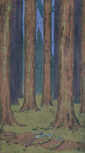 A Floresta, 1901