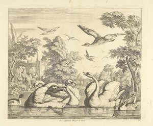 Três cisnes e outras aves perto de um lago
Várias aves (título da série)