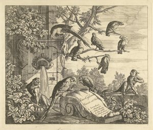 Papagaios e macacos em uma fonte de jardim Pássaros diferentes (título da série)