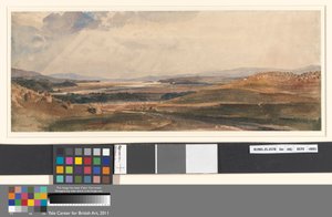 Hora da colheita: Cumberland