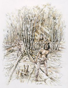 Usos de talhadia de pederneira, pré-histórico, c1990-2010 de Peter Dunn
