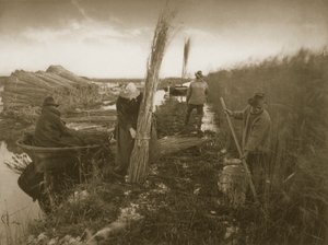 Durante a colheita de junco, vida e paisagem na Broads Norfolk, c.1886