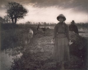 Poling o feno do pântano, a vida e a paisagem nos Broads de Norfolk, 1886