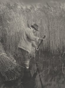 Um Reed-Cutter at Work, 1886. Os Criadores: Dr Peter Henry Emerson, Thomas Frederick Goodall. de Peter Henry Emerson, Thomas Frederick Goodall