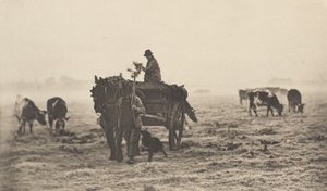 Uma manhã gelada de Peter Henry Emerson