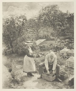 A Garden End (Suffolk) de Peter Henry Emerson