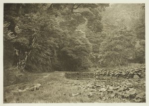 Um recanto tranquilo em Beresford Dale de Peter Henry Emerson