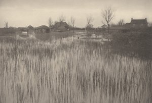 A Rushy Shore,1886 (foto) de Peter Henry Emerson