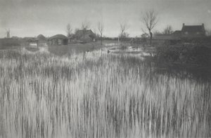 Uma Costa Rústica de Peter Henry Emerson