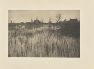 Uma costa de junco de Peter Henry Emerson