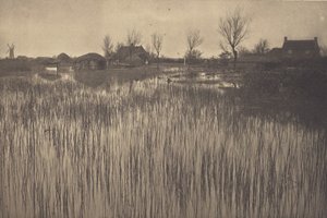Uma costa de junco de Peter Henry Emerson
