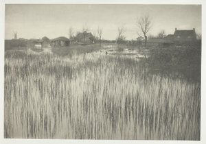 Uma costa de junco de Peter Henry Emerson