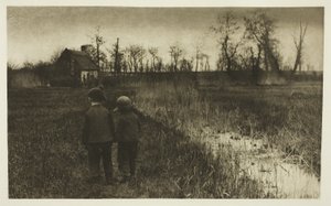 Um sapo no caminho: início da primavera em Norfolk de Peter Henry Emerson
