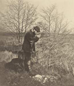 At the Covert Corner. [Norfolk.] de Peter Henry Emerson