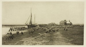 Costa Negra, Rio Blythe (Suffolk) de Peter Henry Emerson
