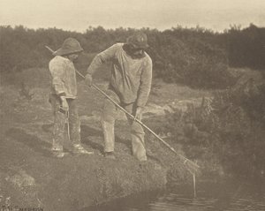 EnguiaColheita nas águas de Suffolk de Peter Henry Emerson