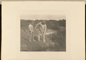 EnguiaColheita nas águas de Suffolk de Peter Henry Emerson